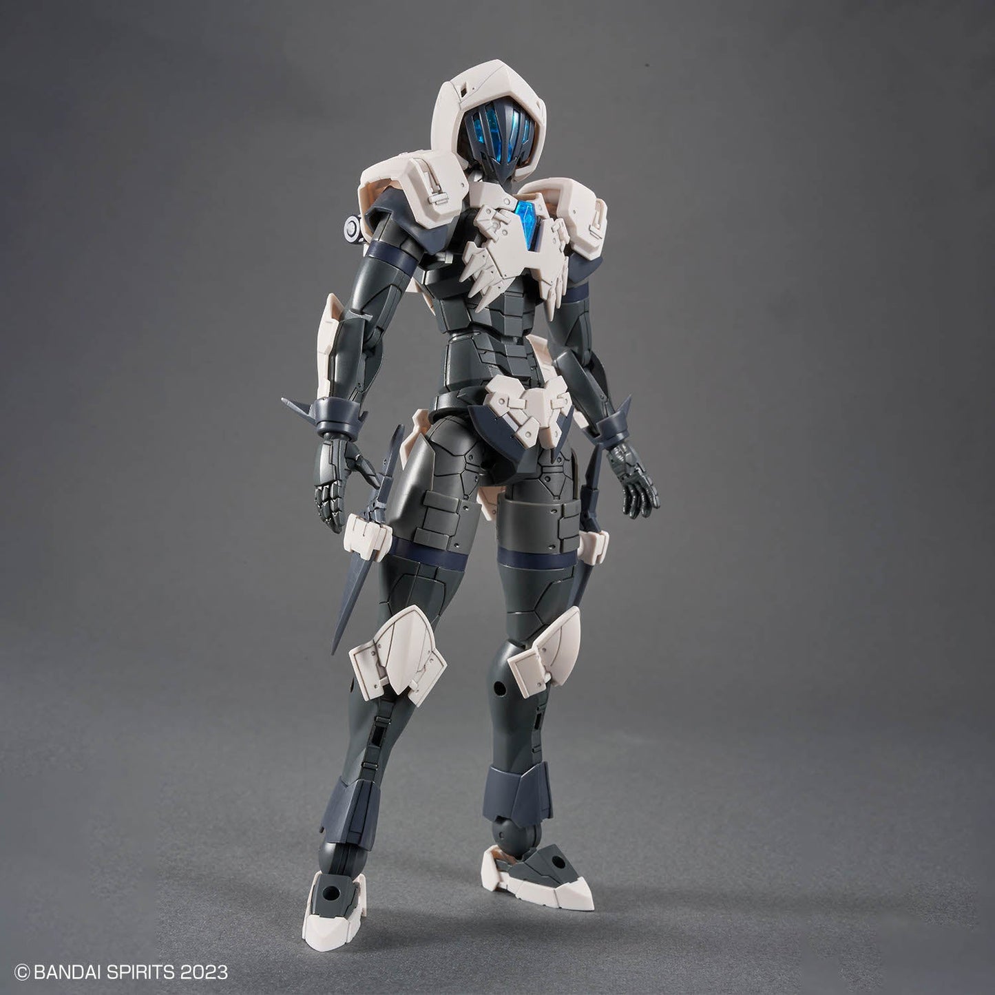 30 Minutes Fantasy #11 Rosan Assassin Model Kit