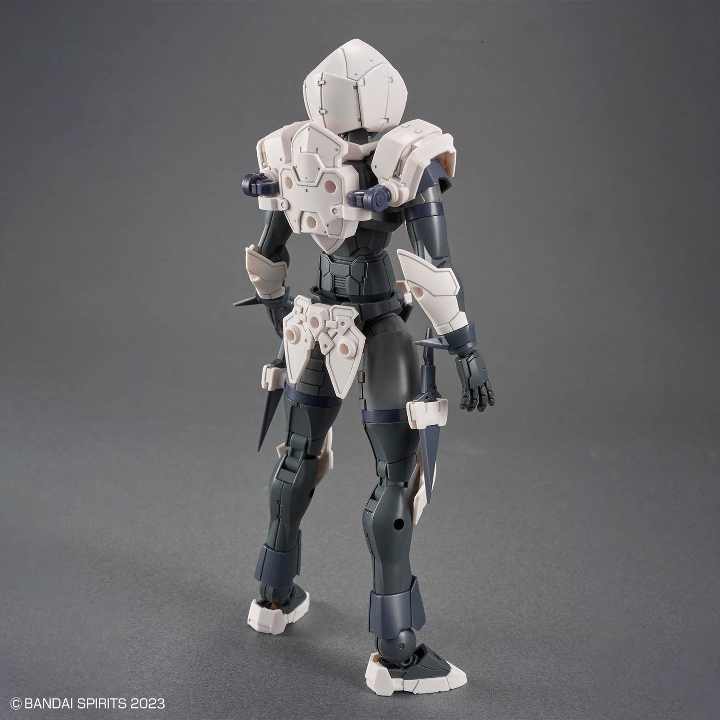 30 Minutes Fantasy #11 Rosan Assassin Model Kit