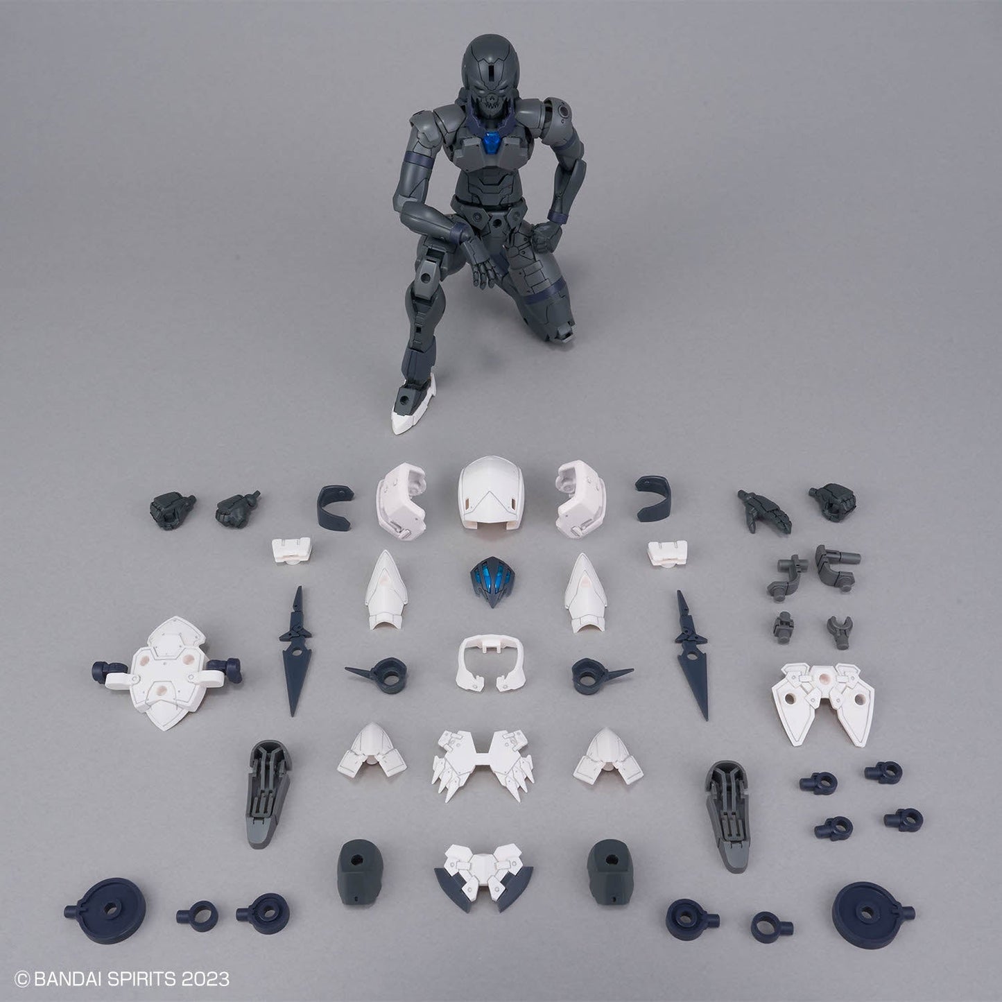 30 Minutes Fantasy #11 Rosan Assassin Model Kit