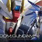 RG 1/144 #05 Freedom Gundam