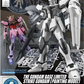 ENTRY GRADE 1/144 THE GUNDAM BASE LIMITED STRIKE GUNDAM [PAINTING MODEL]