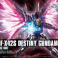 HGCE 1/144 #224 Destiny Gundam (Revive)