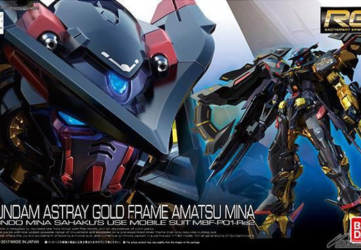 RG 1/144 #24 Gundam Astray Gold Frame Amatsu Mina